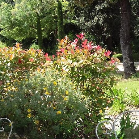 La Louvetiere Hotell Roquefort-les-Pins Exteriör bild